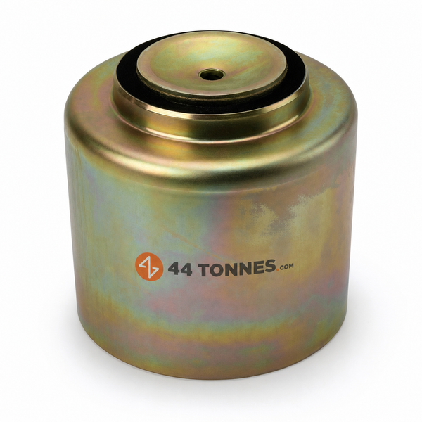 Piston pour MAN - 81436030069