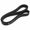 Courroie multi-nervures pour DAF - 1654398 1661948 1893398