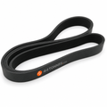 Courroie multi-nervures pour DAF - 1673514 1884148