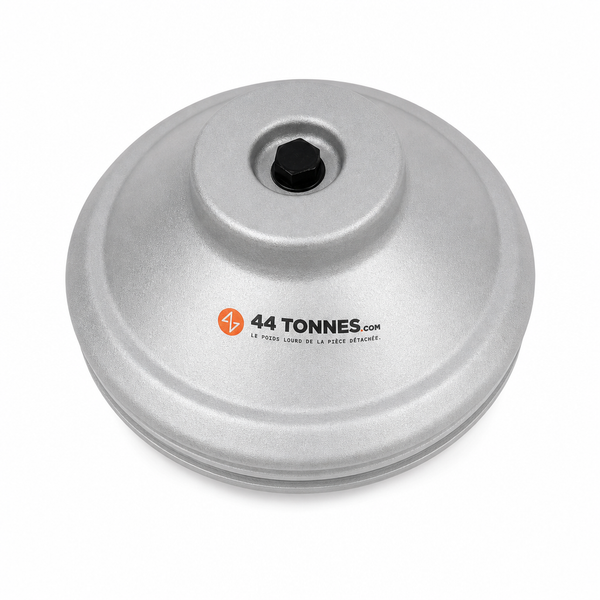 Chapeau de moyeu pour SCANIA - 1381114 1480333 1728076