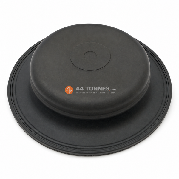Membrane pour DAF, MERCEDES-BENZ, MAN - 0004313828 A0004313828